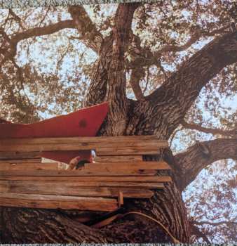 Album The Backseat Lovers: Waiting to Spill