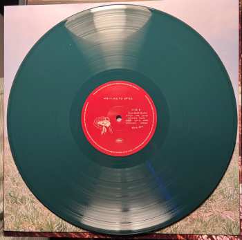 LP The Backseat Lovers: Waiting to Spill CLR | LTD