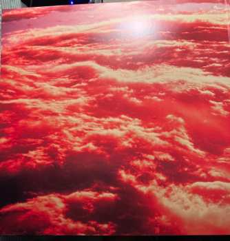 LP The Backseat Lovers: Waiting to Spill CLR | LTD