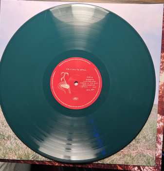 LP The Backseat Lovers: Waiting to Spill CLR | LTD