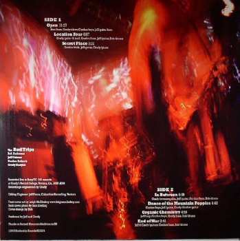 LP The Bad Trips: Open