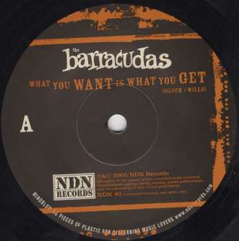 SP Barracudas: What You Want Is What You Get