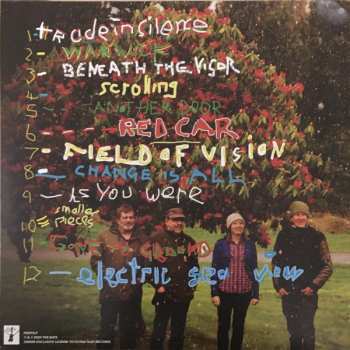LP The Bats: Foothills