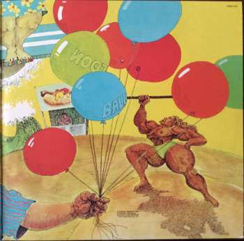 2LP The Beach Boys: Endless Summer LTD
