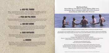 CD The Beach Boys: Greatest Hits