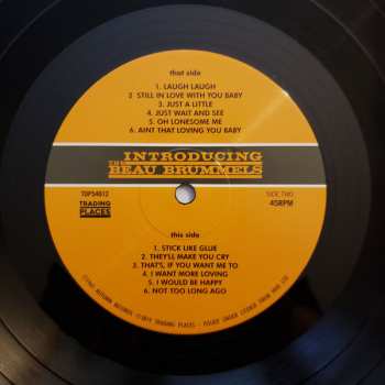 LP The Beau Brummels: Introducing The Beau Brummels