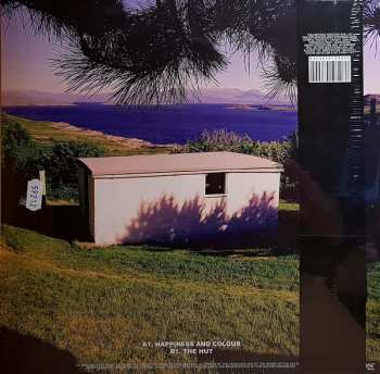 3LP/2CD The Beta Band: The Beta Band DLX