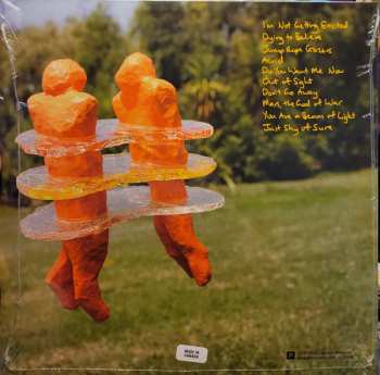 LP The Beths: Jump Rope Gazers LTD | CLR