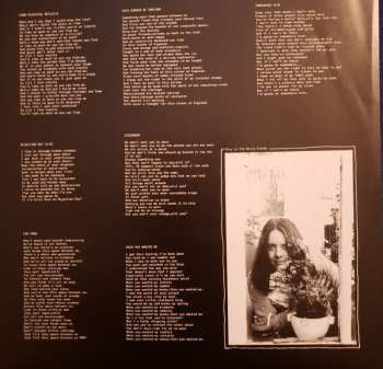 2LP The Bevis Frond: Any Gas Faster