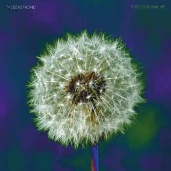 Album The Bevis Frond: Focus On Nature