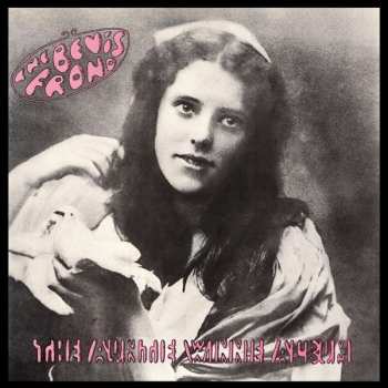 2CD The Bevis Frond: The Auntie Winnie Album