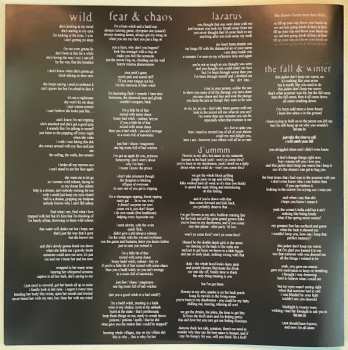 LP The Black Creatures: Wild Echoes