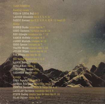 2CD The Black Sorrows: Faithful Satellite