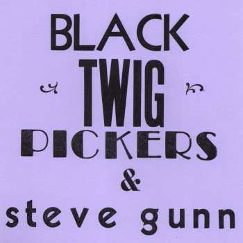 Album Steve Gunn: Lonesome Valley