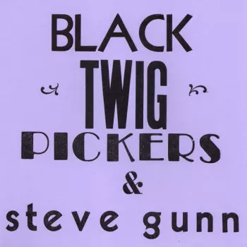 Steve Gunn: Lonesome Valley