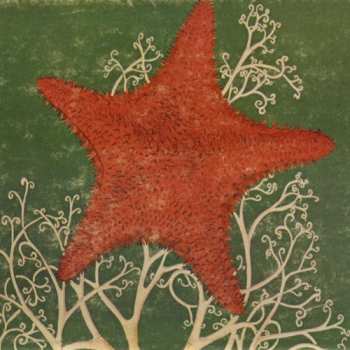 Album The Blithe Sons: Arm Of The Starfish