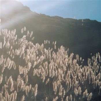 Album The Blithe Sons: The Great Orthochromatic Wheel