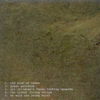 CD The Blithe Sons: We Walk The Young Earth