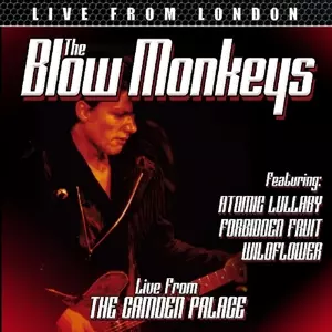 Live From London