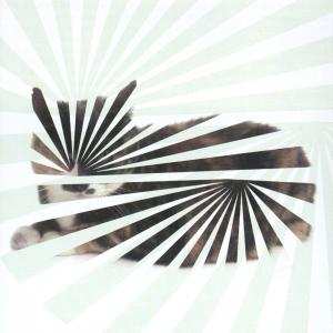 Album The Blow: Poor Aim: Love Songs