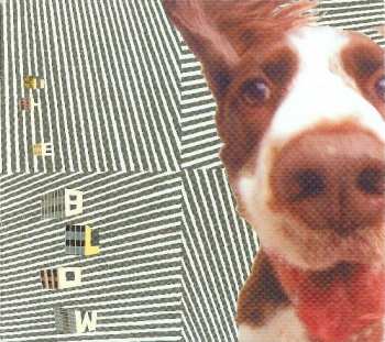 CD The Blow: The Concussive Caress, Or, Casey Caught Her Mom Singing Along With The Vacuum
