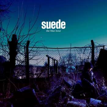 2LP/2CD/DVD/SP/Doos Suede: The Blue Hour DLX | LTD