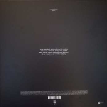 2LP/2CD/DVD/SP/Doos Suede: The Blue Hour DLX | LTD