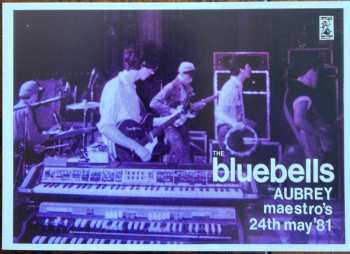 SP The Bluebells: Everybody's Somebody's Fool CLR | LTD