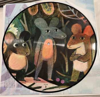 LP The Bookshop Band: Robin Robin Original Motion Picture Soundtrack