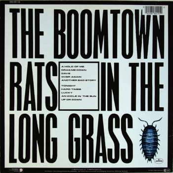 LP The Boomtown Rats: In The Long Grass