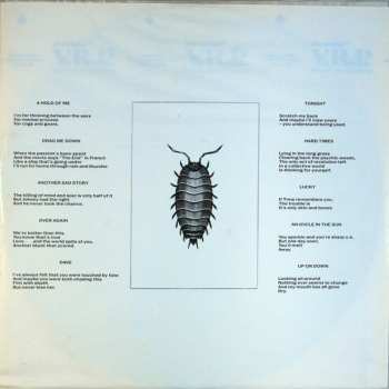 LP The Boomtown Rats: In The Long Grass