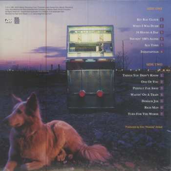 LP The Bottle Rockets: 24 Hours A Day CLR | LTD
