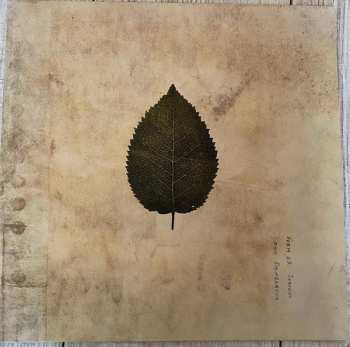 LP The Boxer Rebellion: The Cold Still