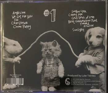 CD The Brothers Steve: #1