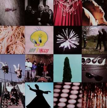 LP Lee Ranaldo: Trouble And Desire