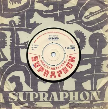 Stín Magnolií / Look Through My Window