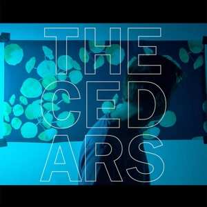 Album John Vanderslice: The Cedars