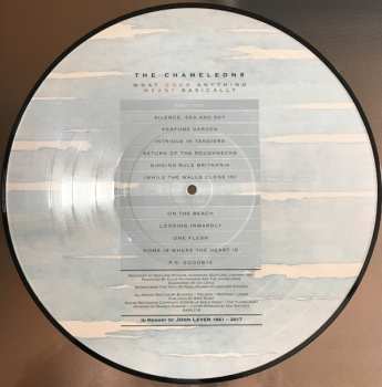 LP The Chameleons: What Does Anything Mean? Basically LTD | NUM | PIC