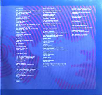 2LP The Chameleons: Why Call It Anything