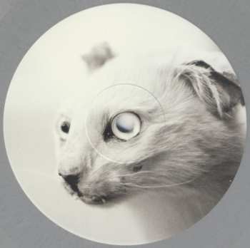 LP The Chancers: Trigger Warning CLR