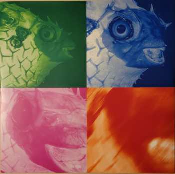 2LP The Chills: Spring Board (The Early Unrecorded Songs)