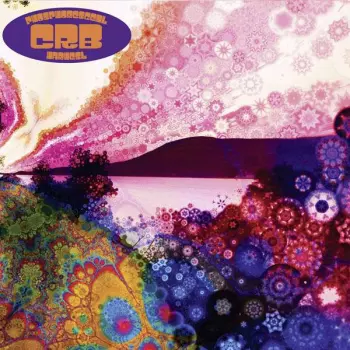 The Chris Robinson Brotherhood: Phosphorescent Harvest