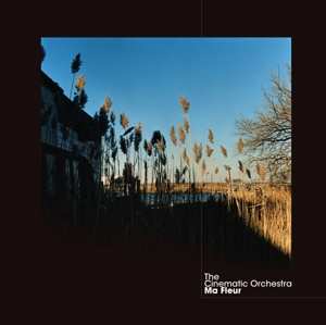 2LP The Cinematic Orchestra: Ma Fleur DLX | LTD