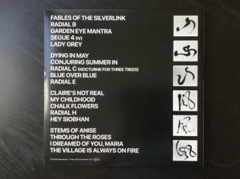 2LP The Clientele: I Am Not There Anymore LTD | CLR