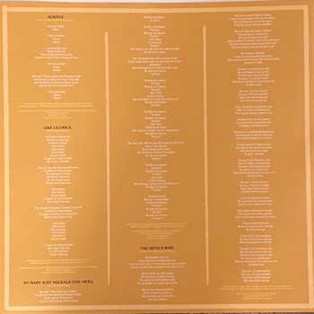 2LP The Coward Brothers: The Coward Brothers CLR | LTD