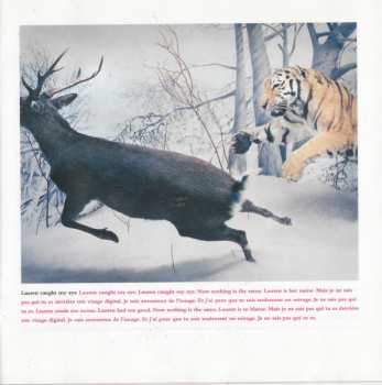 CD The Crash: Wildlife