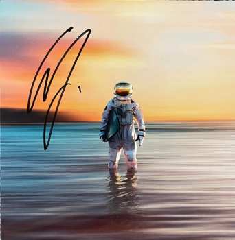 LP The Dangerous Summer: Gravity