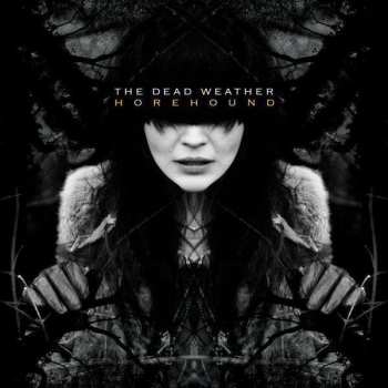 Album The Dead Weather: Horehound