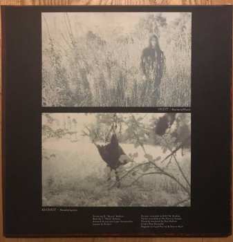 LP The Deathtrip: Demon Solar Totem LTD | CLR