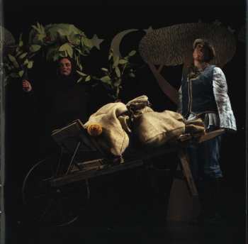 CD The Decemberists: Picaresque